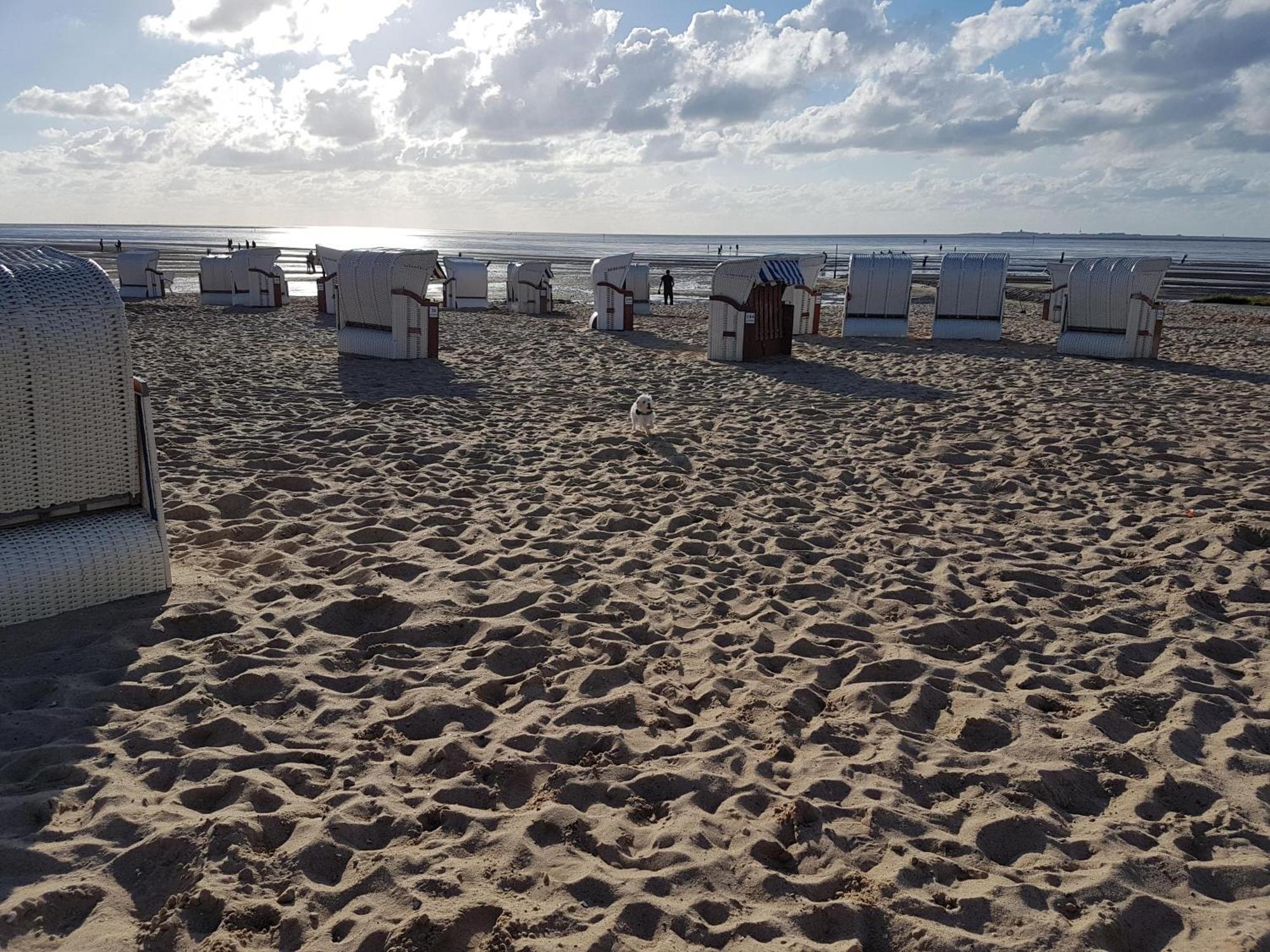 Ferienwohnung Watt & Wind - Tolles Schwimmbad Cuxhaven Exterior foto